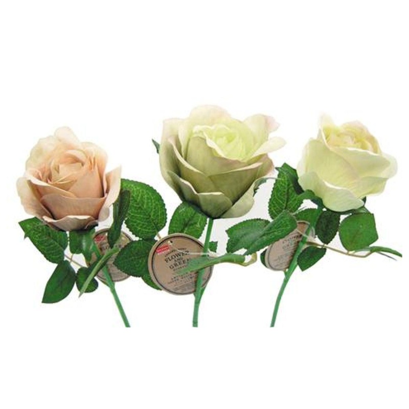 Antique Rose Green/White/Brown