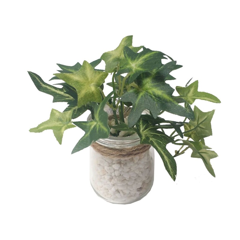 Green Pot (Height 12 Cm)