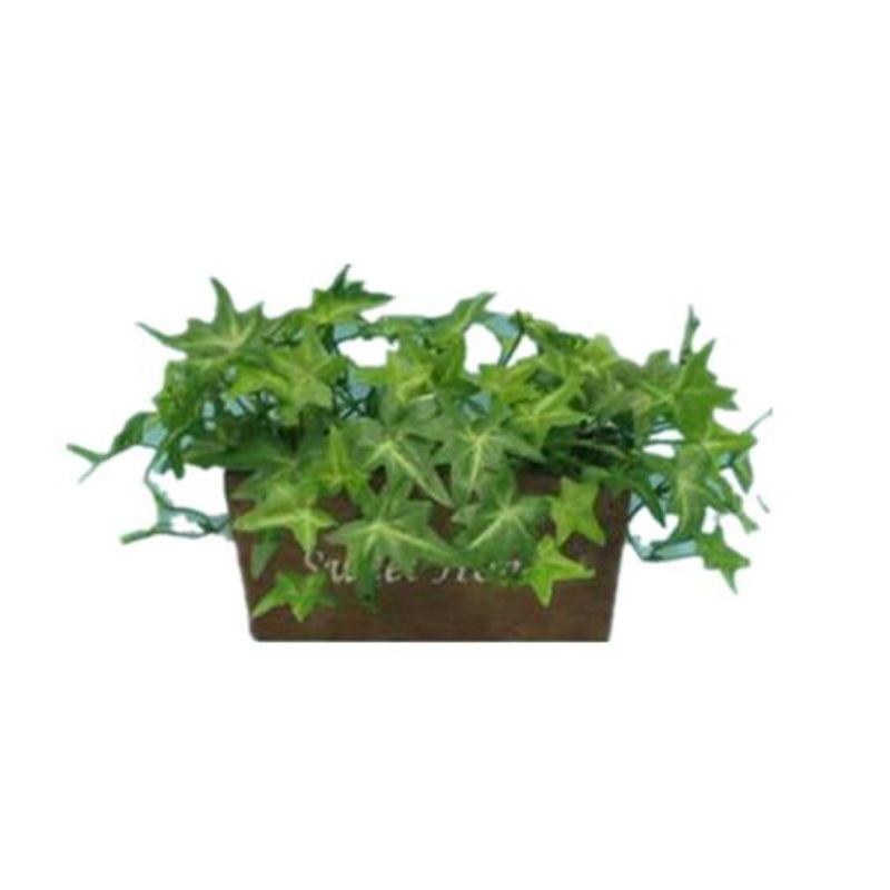Wooden Planter Ivy