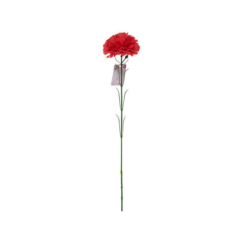 Single Carnation Red