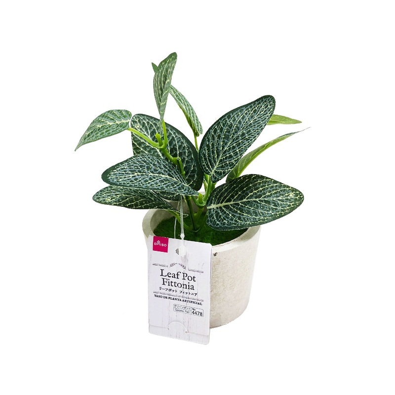 Leaf Pot Fittonia