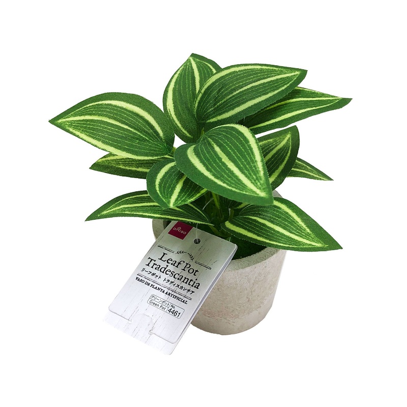 Leaf Pot Tradescantia