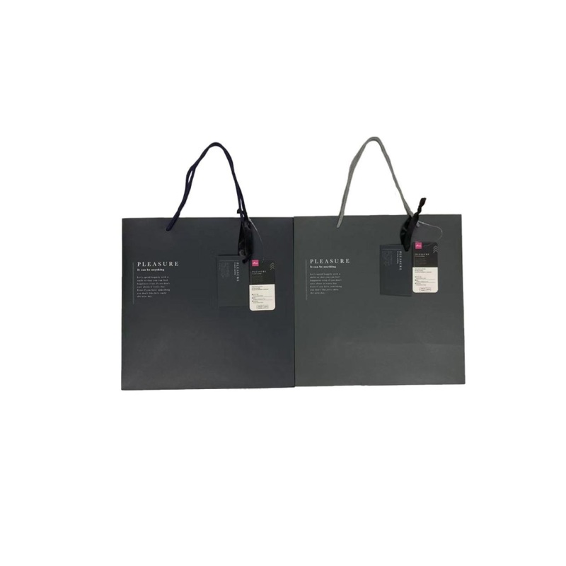 Gift Bag Everyday 27cm x 27cm x 13cm