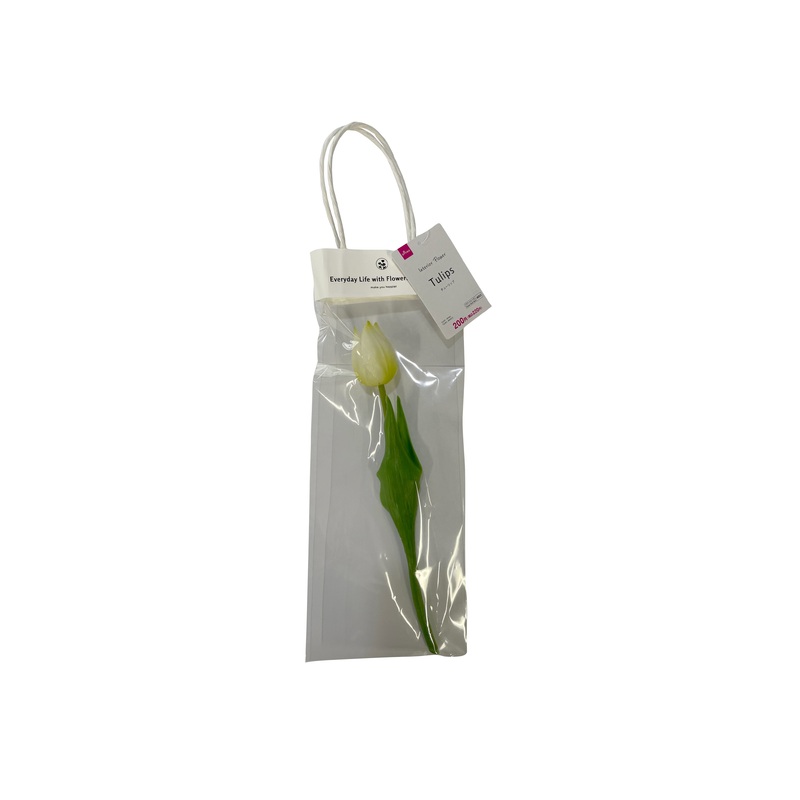 TULIPS(White)