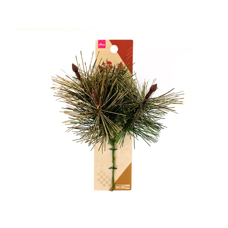 Welcoming The New Year Arranged Pick Young Pine