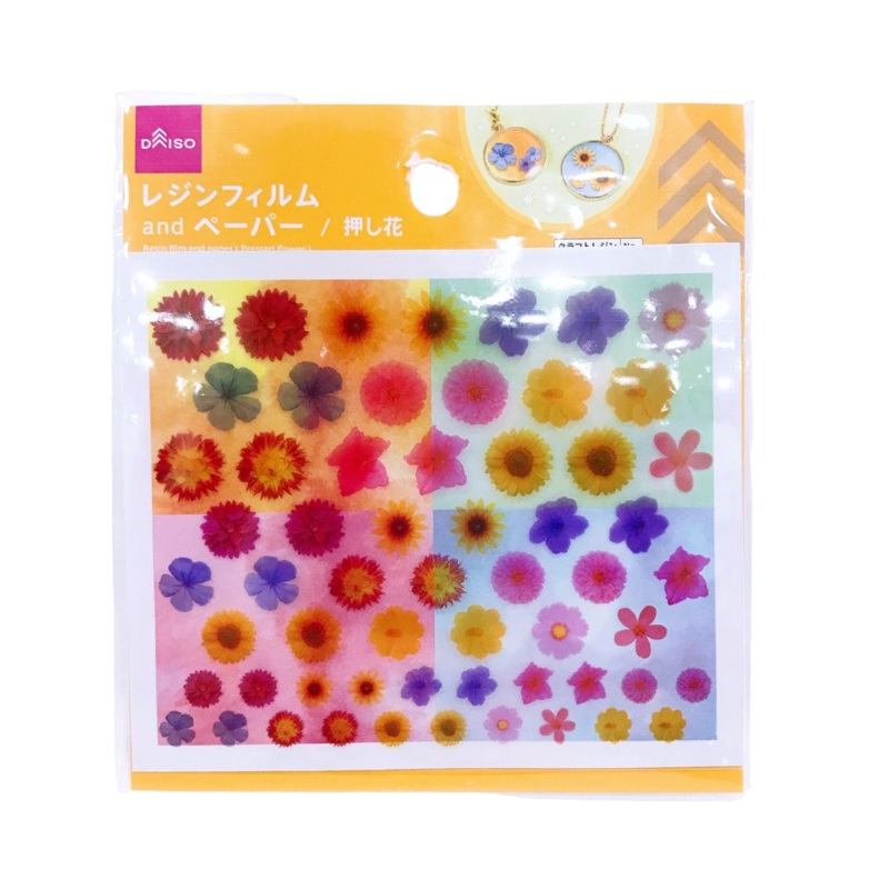 Resin Film And Paper(Pressed Flower)