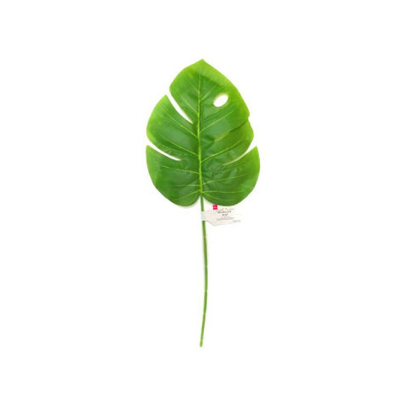 Monstera Leaf