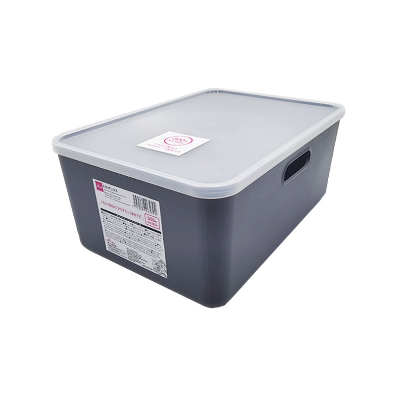 R30 Box-1.19ftx10.23inx6.29in-36.5cmx26cmx16cm-Gray-
