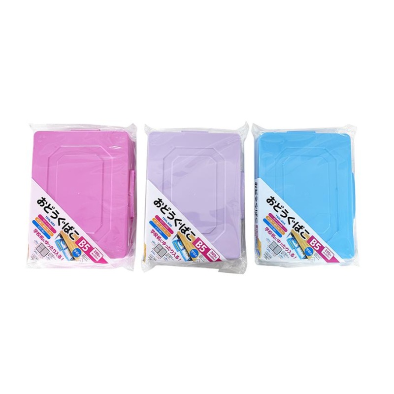 Tool Box B5 with Handle and Partitions