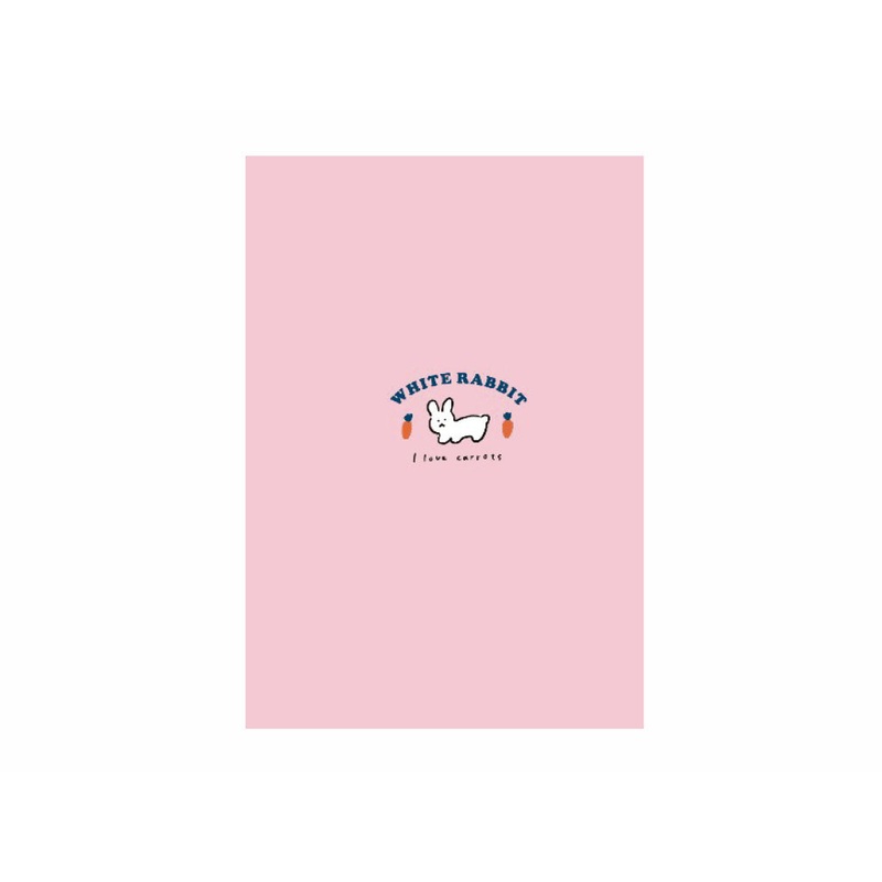 Notebook B6 Grid 3mm Rabbit