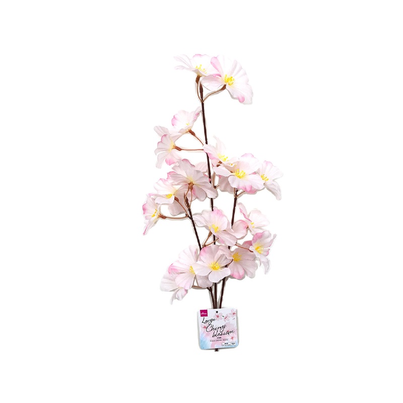 Large Cherry Blossom White
