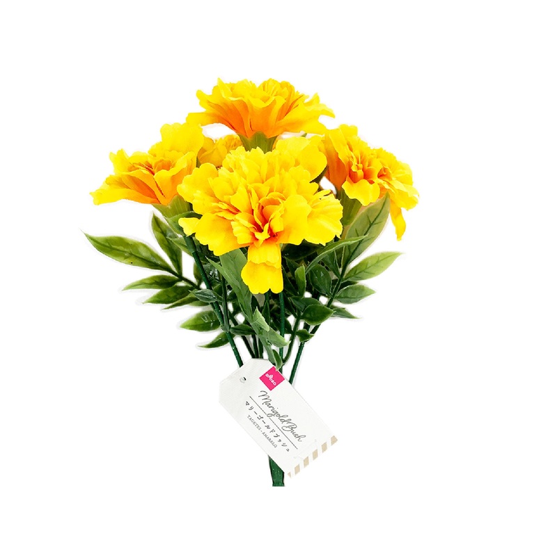 Marigold Bush Yellow