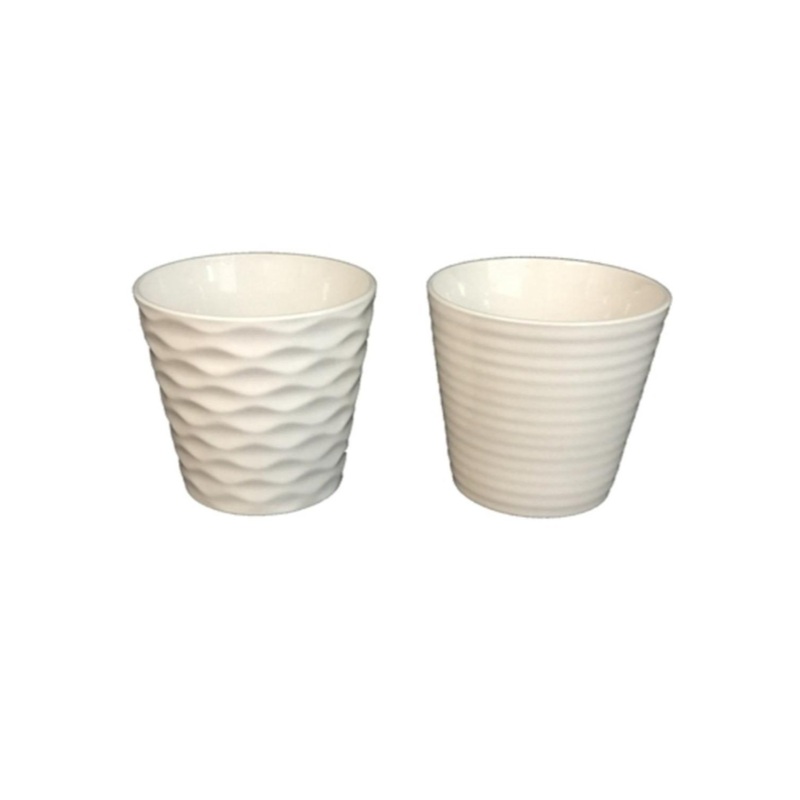 Soba Cup and Multi-Purpose Cup