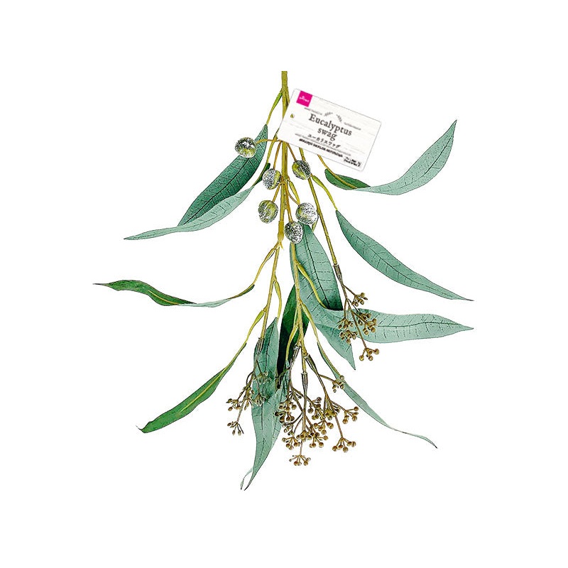Eucalyptus swag