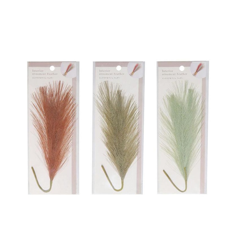 Interior Ornament Feather