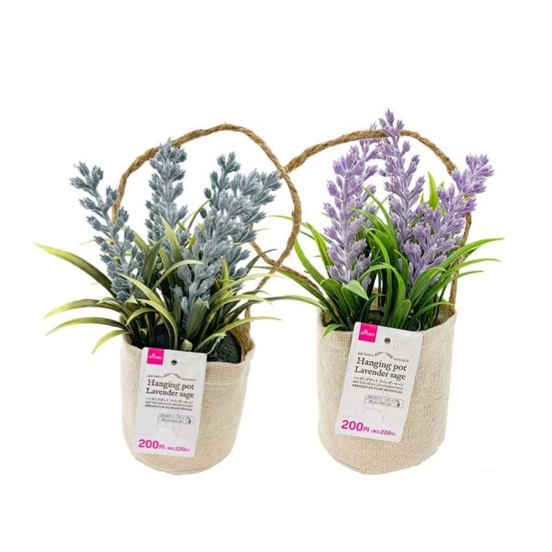 Hanging Pot Lavender Sage