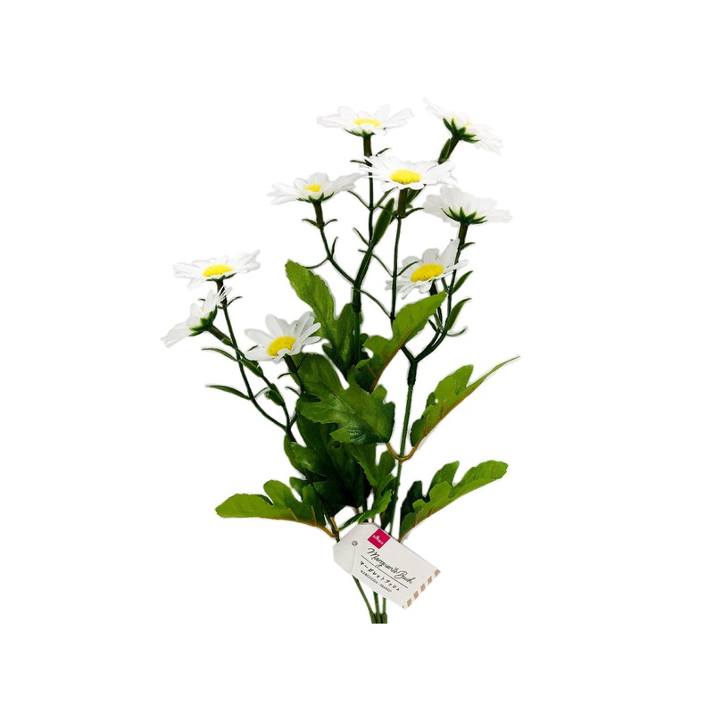 Marguerite Bush - White -