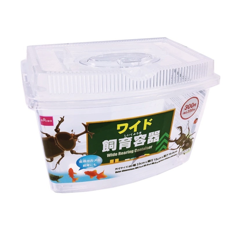 WIDE REARING CONTAINER W23cm.xD15cm.xH16.6cm