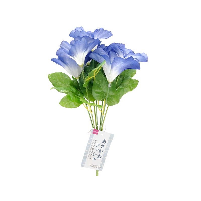 Morning glory Bush - Blue -