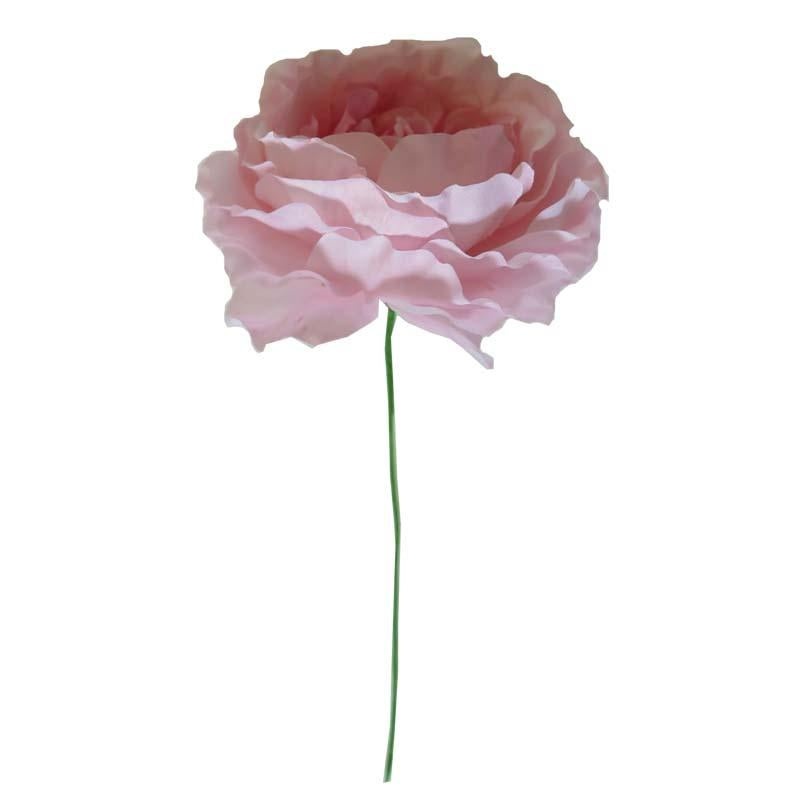 Ranunculus Pick Set Of 2
