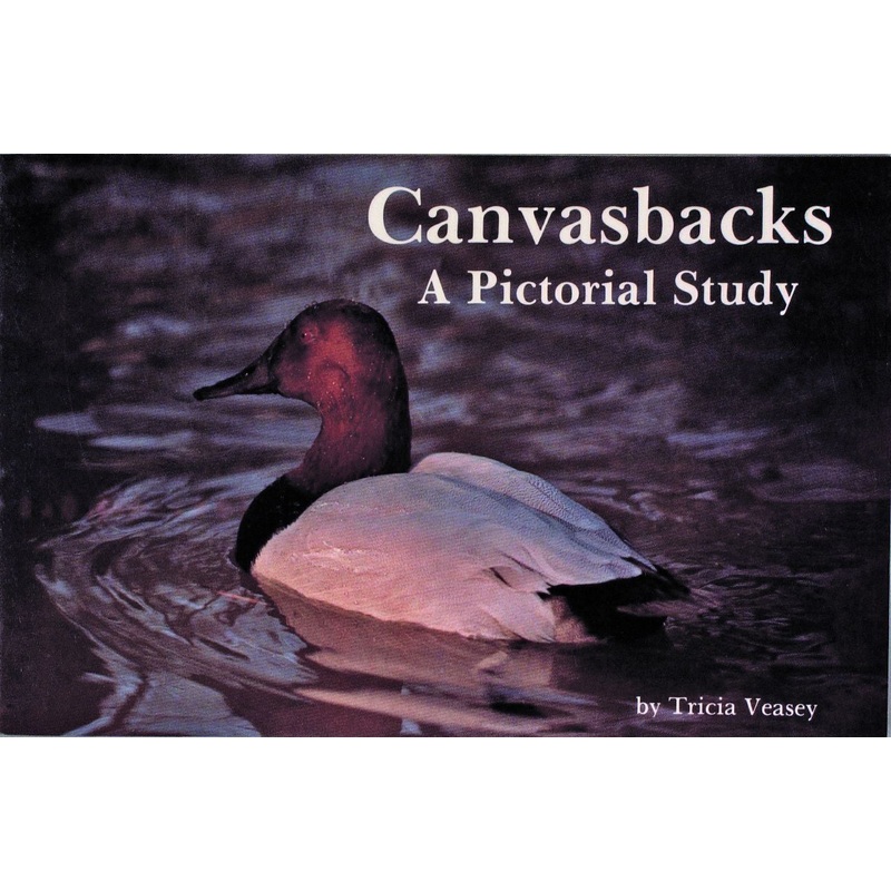 Canvasbacks|Paperback / softback