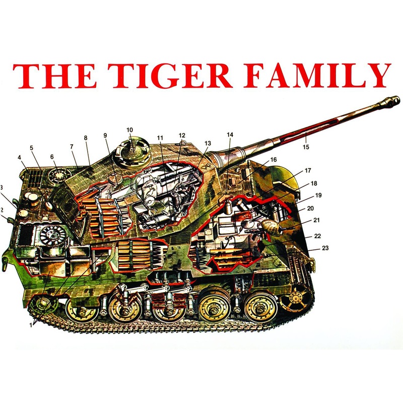 The Tiger Family|Paperback / softback