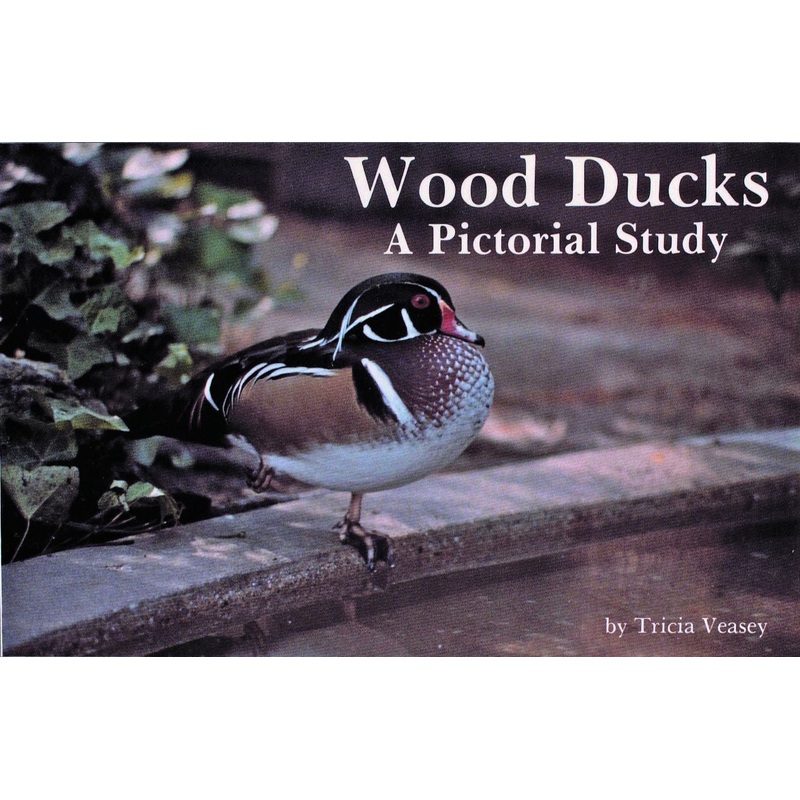 Wood Ducks|Paperback / softback