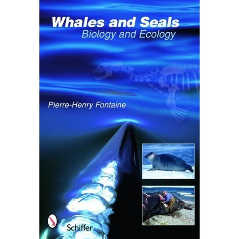 Whales and Seals|Paperback / softback