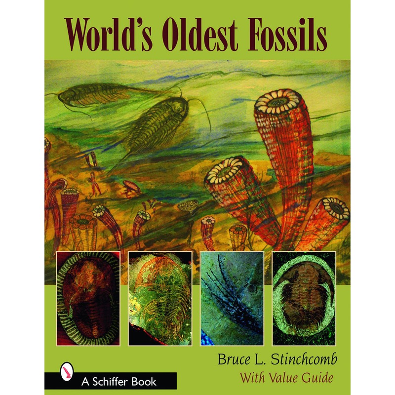 World's Oldest Fossils|Paperback / softback