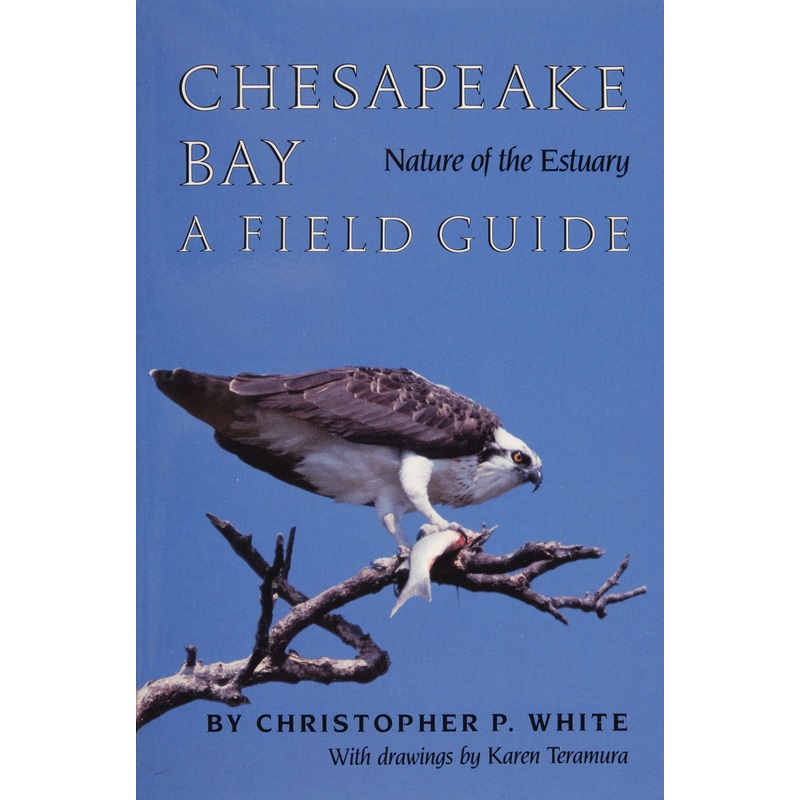 Chesapeake Bay Nature of the Estuary