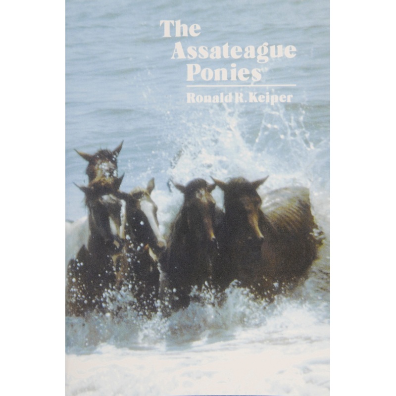 The Assateague Ponies|Paperback / softback