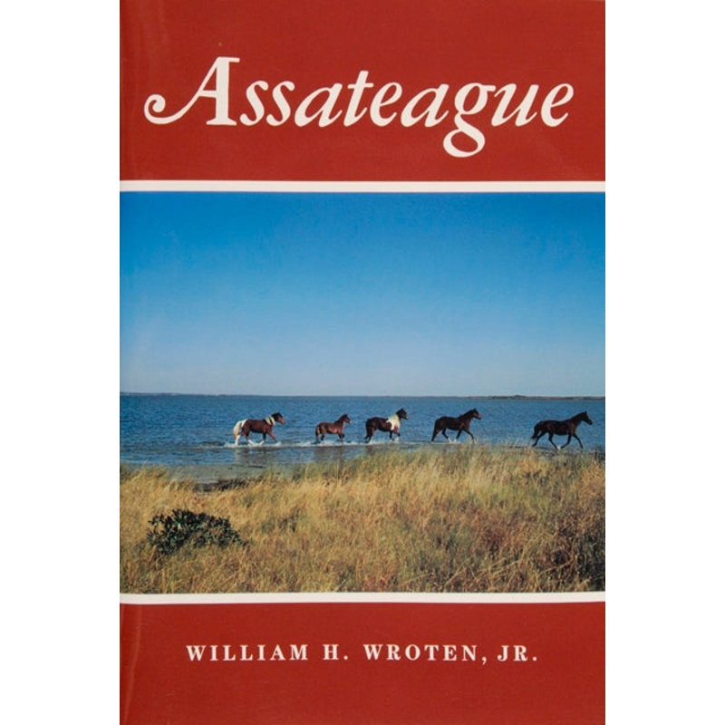 Assateague|Paperback / softback