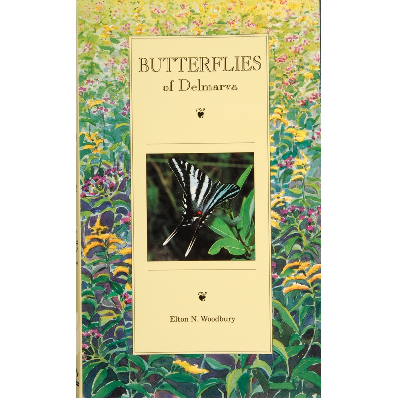 Butterflies of Delmarva|Paperback / softback