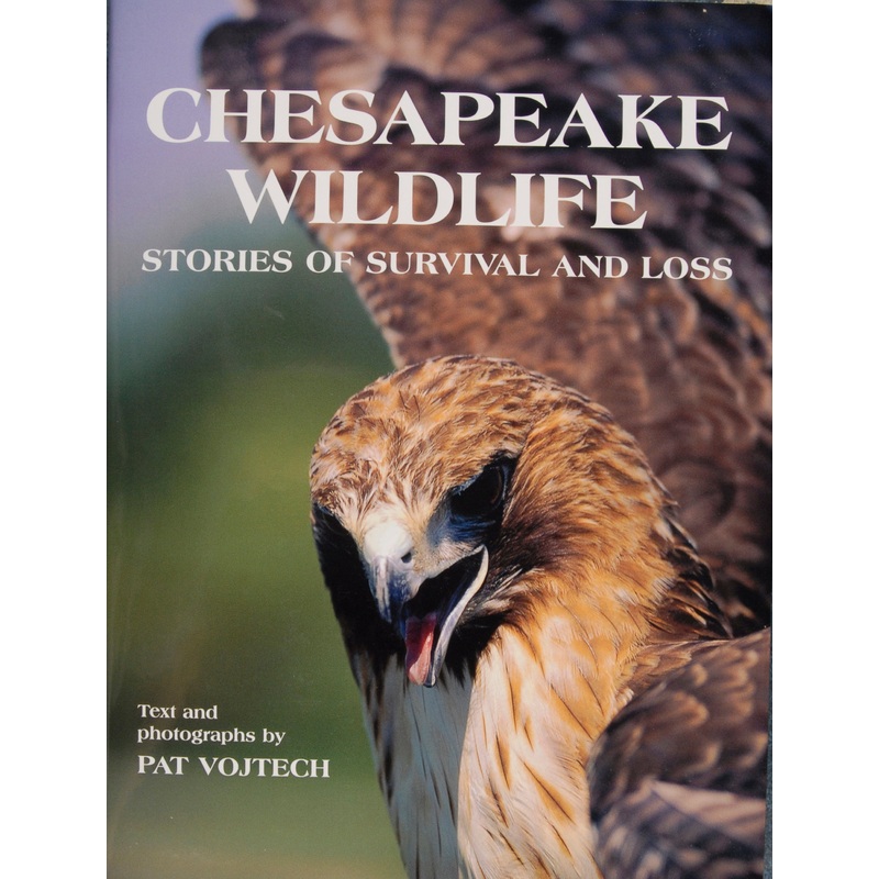 Chesapeake Wildlife|Hardback