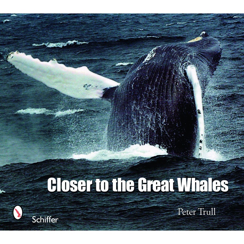 Closer to the Great Whales|Paperback / softback
