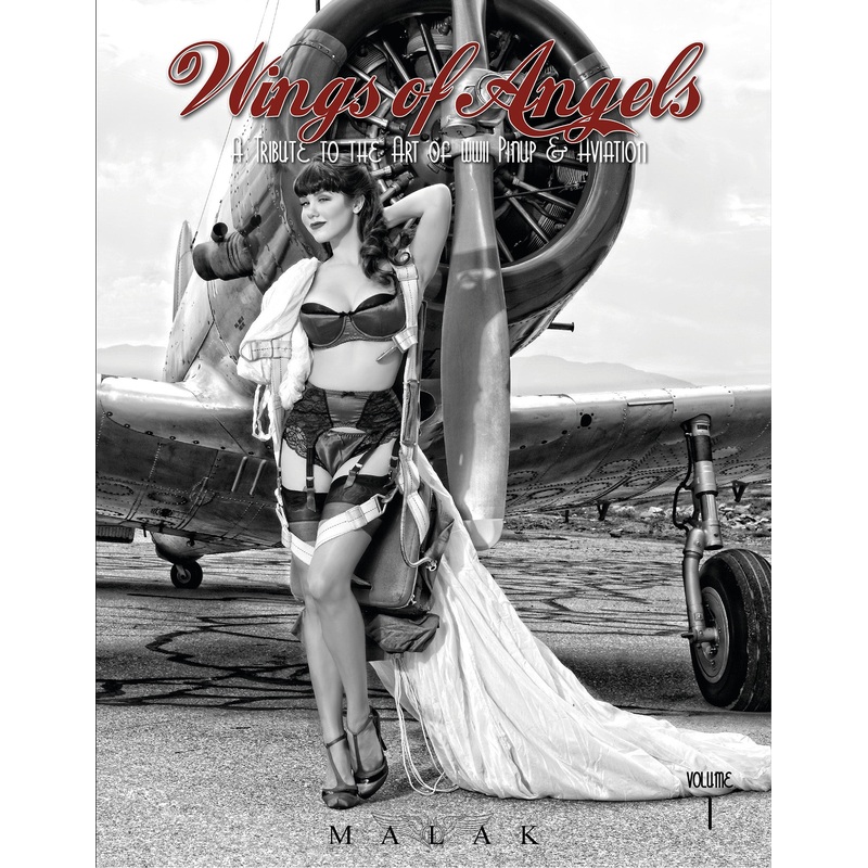 Wings of Angels|Hardback