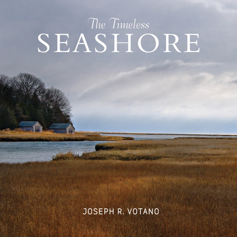 The Timeless Seashore|Hardback