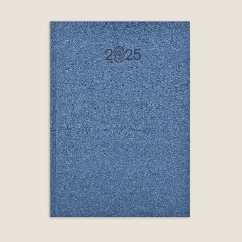 Scholar Eco 2025 A5 Daily Planner  Blue