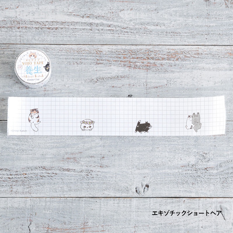 SEAL-DO Masking Tape - YOJO TAPE - Exotic Shorthair (Coming Soon)